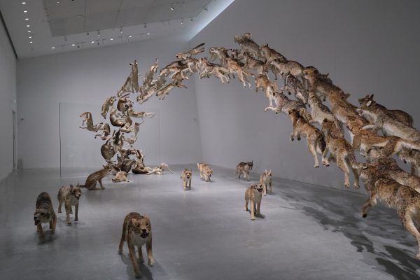 直島新美術館